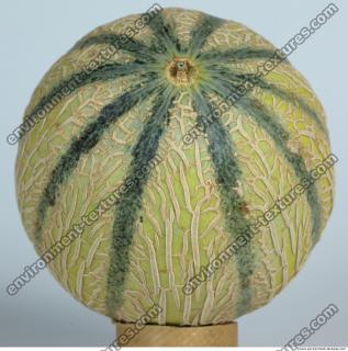 Melon Galia 0014